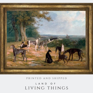 Vintage Greyhound Dog Painting in Print | Nine Greyhounds in a Landscape (1807)  by Jacques–Laurent Agasse