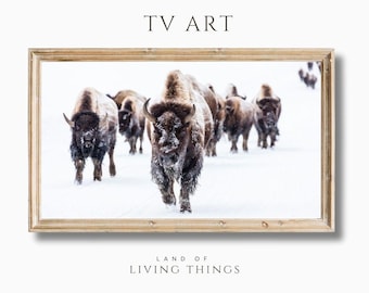 Bison in the Snow, Winter Art for Frame TVs, Winter Themed TV Art, Christmas Decor, Holiday Decor, Winter Frame TV Art, Southwestern Art