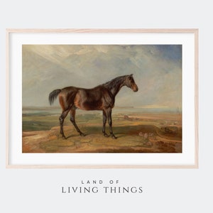 Horse Print, Vintage Bay Horse Painting, Housewarming Gift