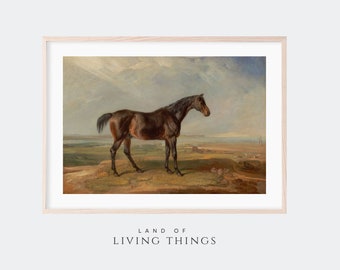 Horse Print, Vintage Bay Horse Painting, Housewarming Gift