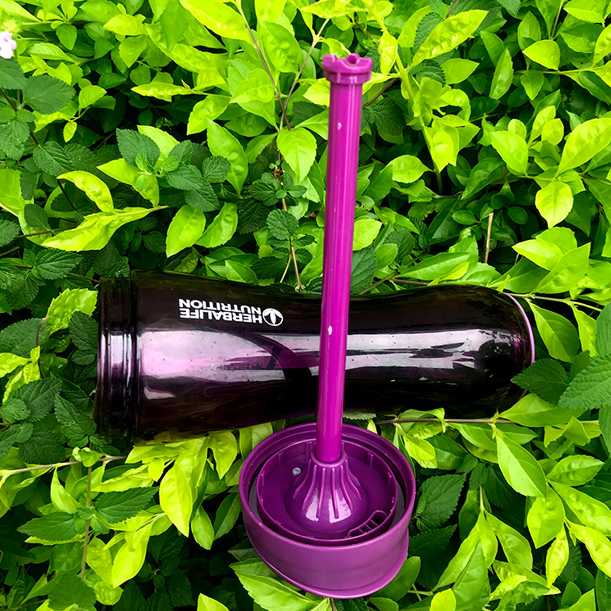 Herbalife Nutrition Mega 500mL Shake Sports Water Bottle | Etsy