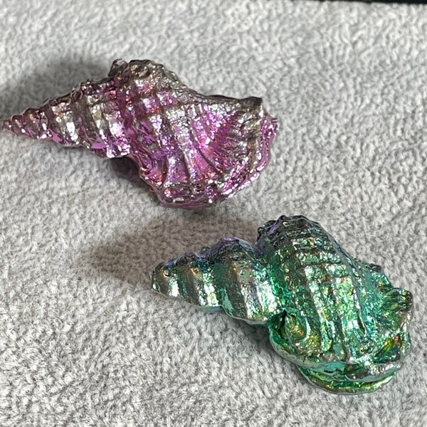 Bismuth crystal conch shell casting