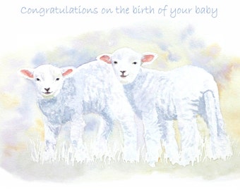 New Baby Card / Greetings Card / Art Print Card / Congratulations Card / Baby Boy / Baby Girl