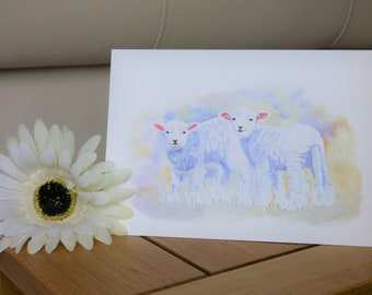 Greetings Card / Blank Card / Art Print Card / Watercolour / Lambs