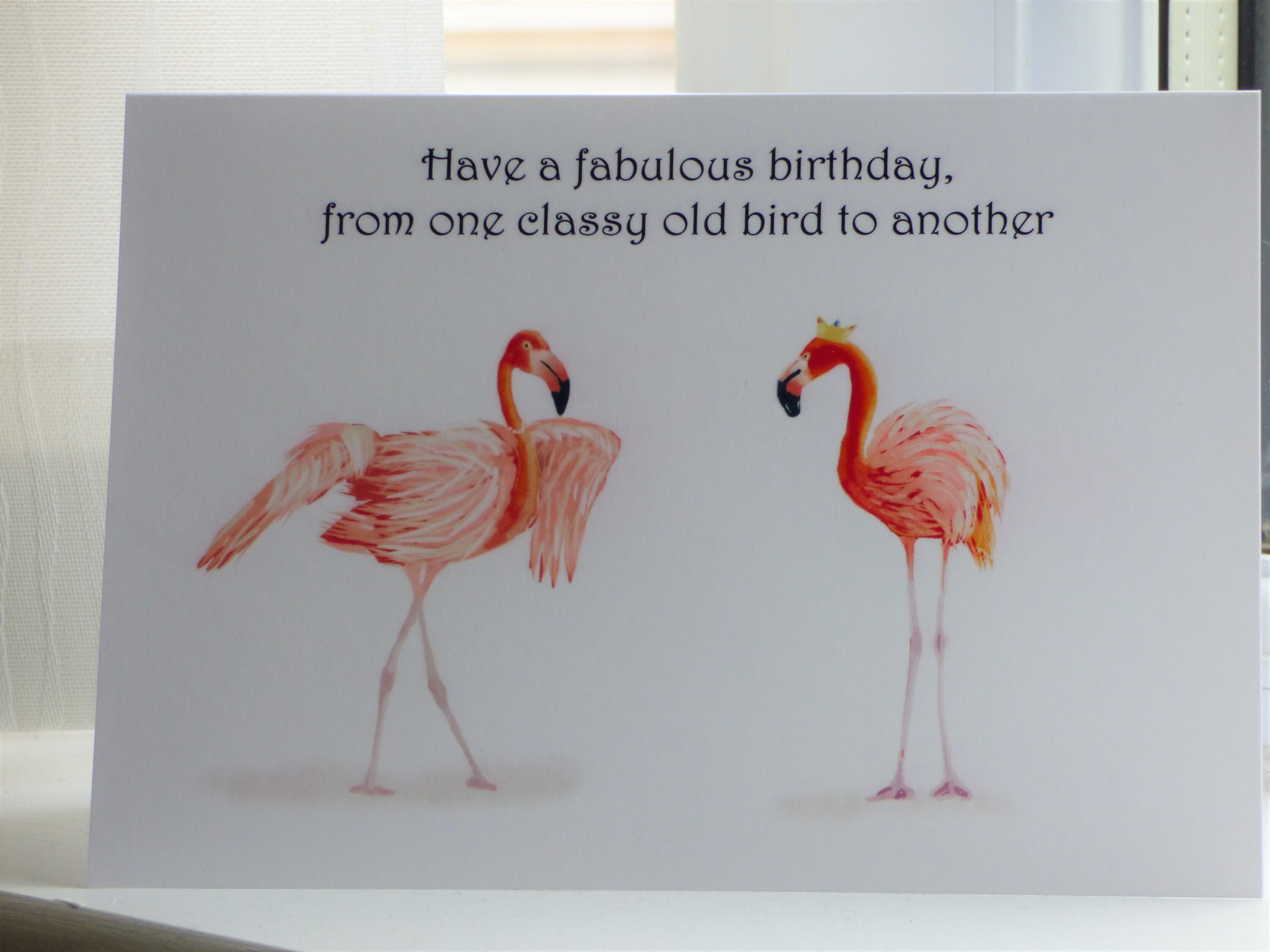 Funny Birthday Card / Friends Card / Flamingos / Have a - Etsy