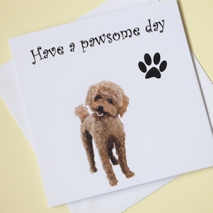 Cockapoo Birthday Card / Dog Lover Card / Have a pawsome day