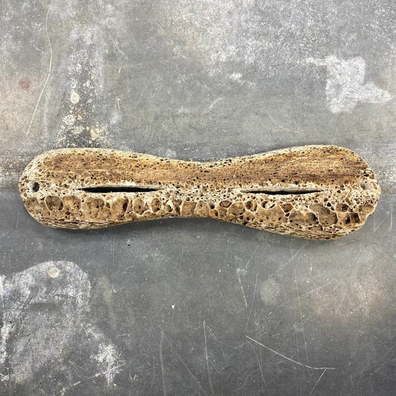 Inuit Marine Bone Snow Goggles Arctic Greenland Alaska Etsy