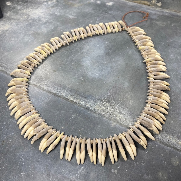 Collier en dents de chien et os, Papouasie Nouvelle-Guinée, milieu XXème