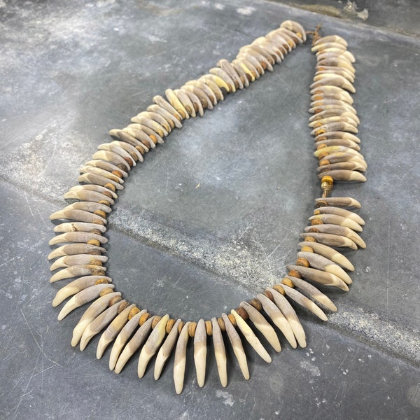 Collier en dents de chien et fibres végétales, Papouasie Nouvelle-Guinée, milieu XXème