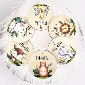 Woodland Baby Meilensteinscheiben - Set mit 6 doppelseitigen oder 12 einseitigen
