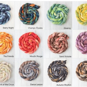 20g | DHG Extra Fine Merino Wool Roving/Top | Space Dyed | 12 Blends