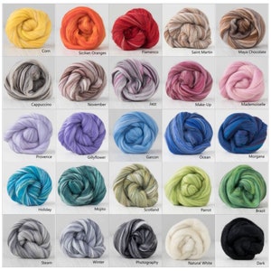 20g | DHG Extra Fine Merino Wool + Tussah Silk Roving/Top | 25 Blends