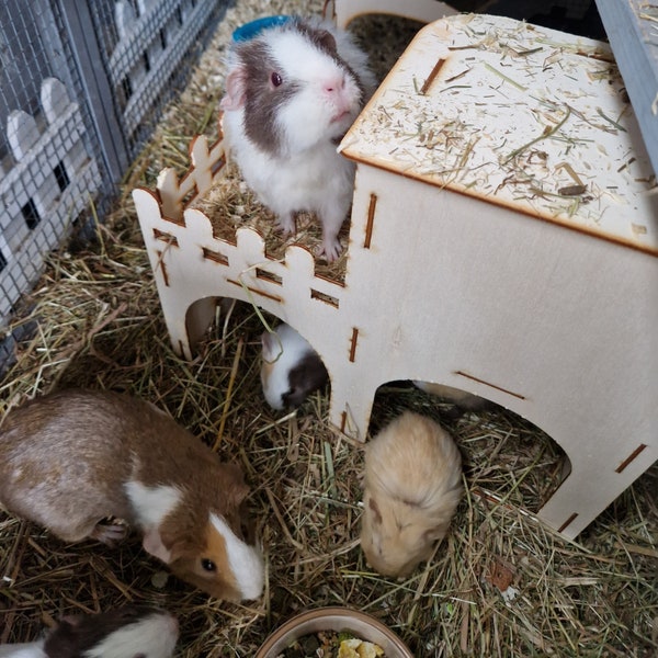 Pet House Guinea Pig - a unique small play place for your loved Rodent