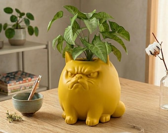 Angry Cat Design - Whimsical Succulent Planter, Pot, Pen, Cup or Candy Bowl