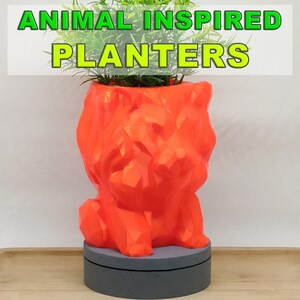 EU Lion Pot | Cute Lion Planter | Geometric Pot | Animal Pot | Unique Lion Planter | Cartoon Lion Planter | Cute Gift Multicolor Planter