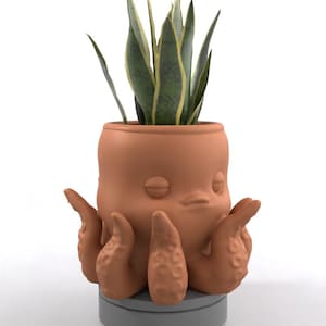 May include: A terracotta-colored octopus-shaped planter with a green and yellow snake plant. The planter has a cartoonish face and tentacles. The plant pot is sitting on a gray base.