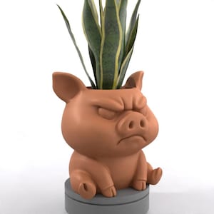 May include: A terracotta-colored pig-shaped planter with an angry expression. The planter holds a green and yellow snake plant. The pig is sitting on a gray, circular base. The planter is a unique decorative item.