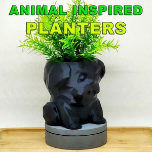 EU Dog Pot | Cute Shih Tzu Planter | Geometric Pot | Unique Dog Planter | Cartoon Shih Tzu Planter | Cute Gift | Multicolor Planter Plant
