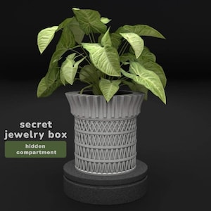 May include: A gray, decorative planter with a hidden compartment, holding a green leafy plant. The planter has a textured design with the words "secret jewelry box" and "hidden compartment" on the side.