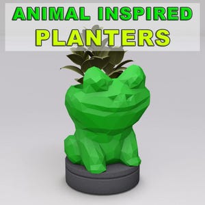 EU Frog Pot | Cute Frog Planter | Geometric Pot | Animal Pot | Unique Frog Planter | Cartoon Frog Planter | Cute Gift Multicolor Planter
