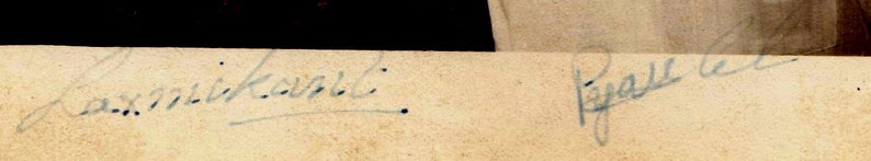 May include: A close-up of a signature on a piece of paper. The signature reads "Lassikowski" and "Pawel Le".
