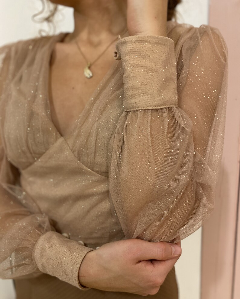 Organza See Through Blouse Glitter Sheer Top Puff Sleeve Etsy