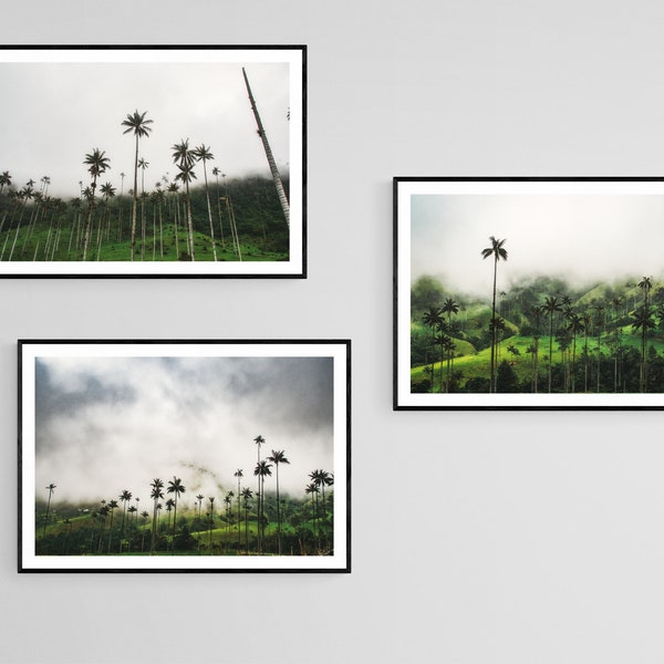 Valle de Cocora Landscape Set 3 Print Files - Nature, Landscape Photography - digital download, fine art print, canvas, metal print