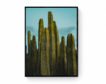 Cactus Matt Giclee Canary Islands Unframed Wall Decor Art Photography Plants Photo Art Print Poster Print Picture