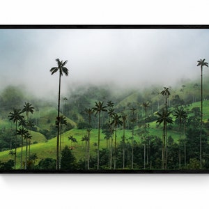 Valle de Cocora Salento Colômbia, imagem impressa em pôster, giclée fosco, arte fotográfica, arte de parede, decoração de parede, foto de paisagem, impressão artística
