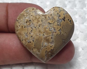 May include: A heart-shaped stone with a mottled pattern in shades of tan, brown, and gray. The polished surface of the stone reflects light, highlighting the natural variations in color and texture. This unique stone is a decorative item.