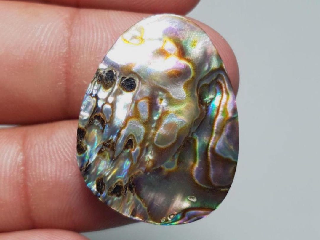 AAA Iridescent Abalone Shell | Natural Seashell for Smudging, Jewelry ...