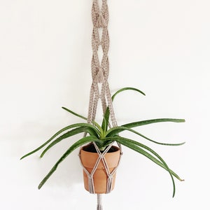 May include: A beige macrame plant hanger with a wooden ring at the top, holding a terracotta pot with a green aloe vera plant. The macrame has a woven design and a tassel at the bottom. The plant's long, green leaves extend outward.