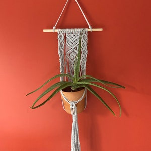 May include: A gray macrame plant hanger with a wooden dowel and a terracotta pot holding an aloe vera plant. The plant hanger is suspended against a red-orange wall, featuring a decorative tassel at the bottom.