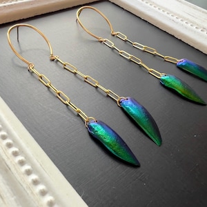 Op de afbeelding: Goudkleurige kettingoorbellen met iriserende groen-blauwe accenten. De oorbellen hebben een lang kettingontwerp met een druppelvormige kevervleugel aan het uiteinde. Op een zwarte ondergrond.