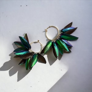 Puede incluir: Un par de pendientes de aro dorados con alas de escarabajo verdes iridiscentes que cuelgan de ellos. Las alas están dispuestas en forma de abanico y tienen un brillo metálico.