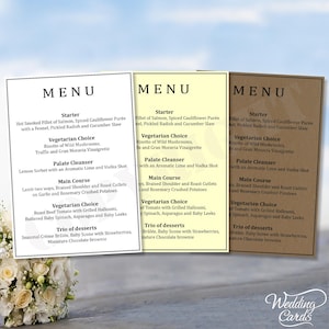 10x Menu personalizzati Segnaposto Decorazione da tavolo Design Matrimonio Compleanno Festa Piano speciale Bevande Cibo Buffet Menu di lusso