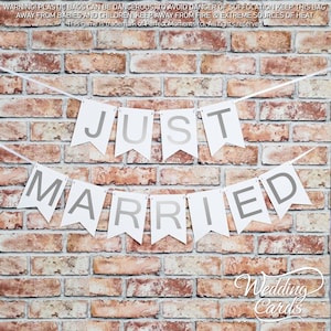 JUST MARRIED Bunting Hanging Decoration Garland Wedding Party White Matte 11 flags and Silver Foiled Letters with White Ribbon New Condition