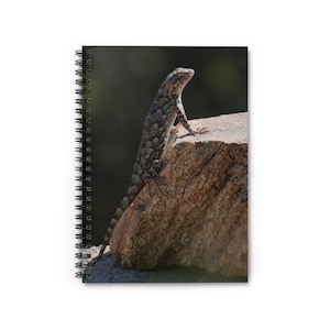 Spiral Notebook - Ruled Line - A Clark&#39;s Spiny Lizard