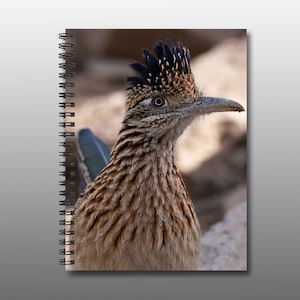 Spiral Notebook - Ruled Line - Portrait of a Roadrunner