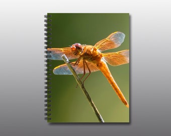 Spiral Notebook - Ruled Line - Smiling Dragonfly