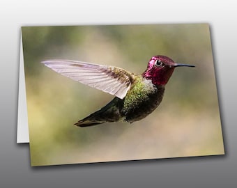 Anna's Hummingbird in Flight - Greeting Card