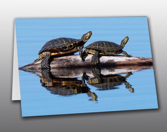 Western Painted Turtles - Photographic Greeting Card