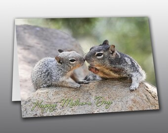 Mothers Day Card - Mama and Baby Rock Squirrels Sharing an Affectionate Moment