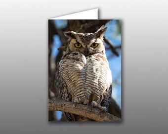 Great Horned Owl Mom - Photographic Greeting Card - 5 x 7 Quality Card Stock with Choice of Messages