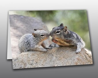 Mama and Baby Rock Squirrels Sharing an Affectionate Moment - Photographic Greeting Card