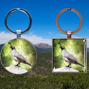 Spirit Animal Key Chain - Gambel&#39;s Quail