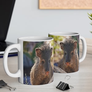 Mug 11oz - Sweet Faced Javelina