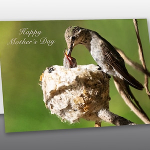 May include: A greeting card with a nature scene. A hummingbird feeds its chick in a nest. The card has the text "Happy Mother's Day" in elegant script against a green background. The card is white with a gray shadow.