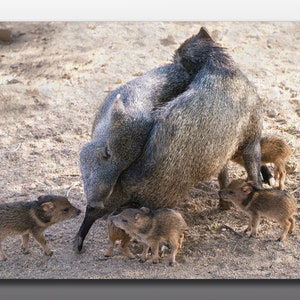 Glass Cutting Board - Javelina Family Hug