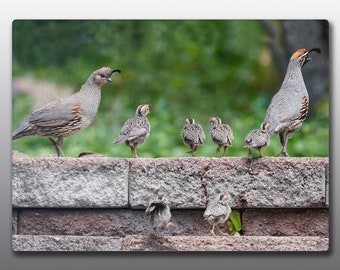 Glass Cutting Board - A Quail Family Outing